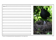 Amsel-eigene-Texte-11.pdf